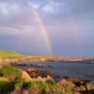 Meet your Posher, Diane